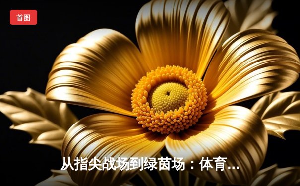 从指尖战场到绿茵场：体育资讯网的流量博弈与商业密码