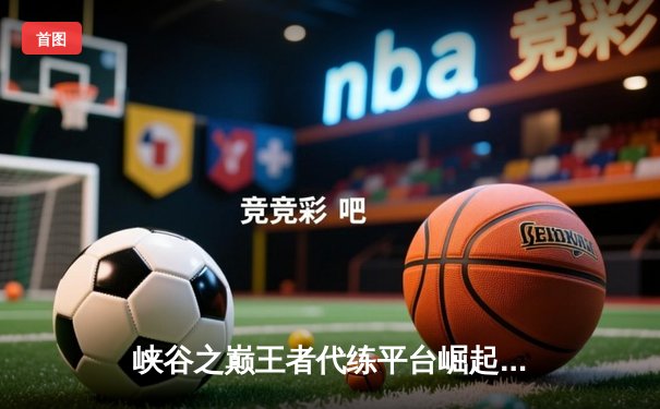 峡谷之巅王者代练平台崛起，职业青训营惊现神秘天才选手